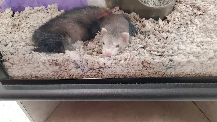 Petco Picture 10