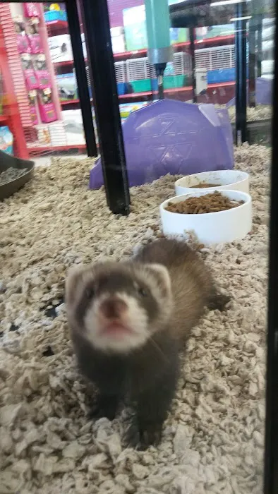 Petco Picture 7