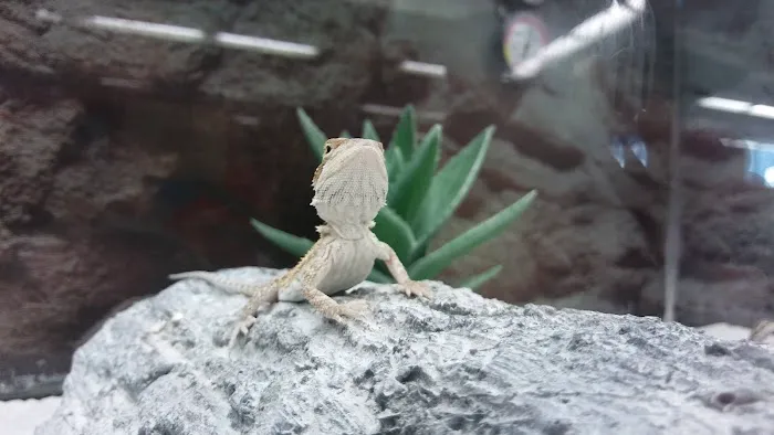 Petco Picture 9