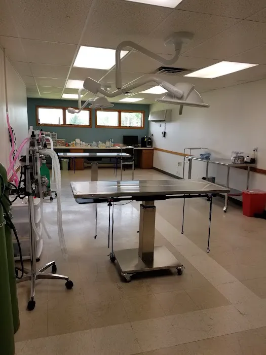 Mountain Valley Spay/Neuter and Vaccine Clinic Picture 7