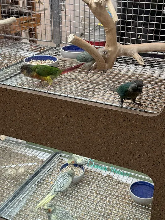 It's A Pet's World Picture 7