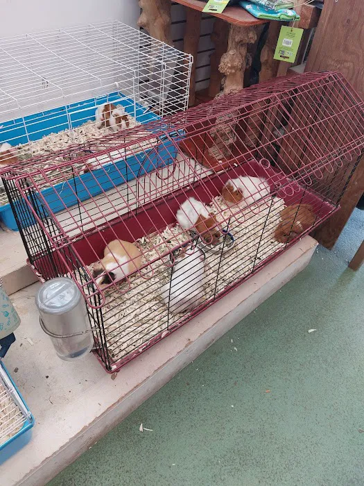 It's A Pet's World Picture 9
