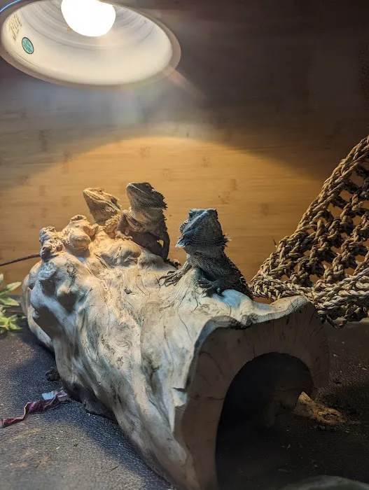 It's A Pet's World Picture 8