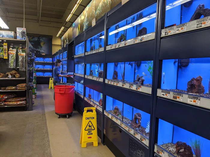 Petco Picture 2