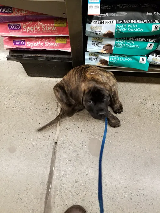 Petco Picture 6