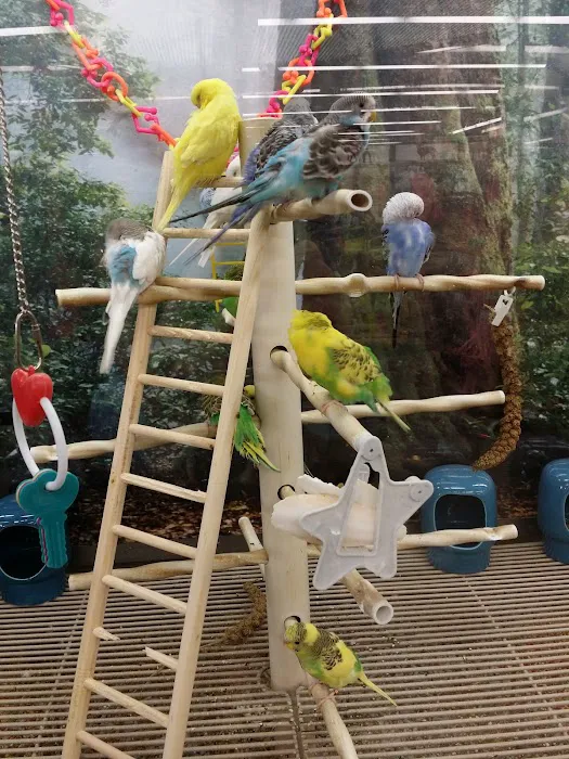 Petco Picture 4