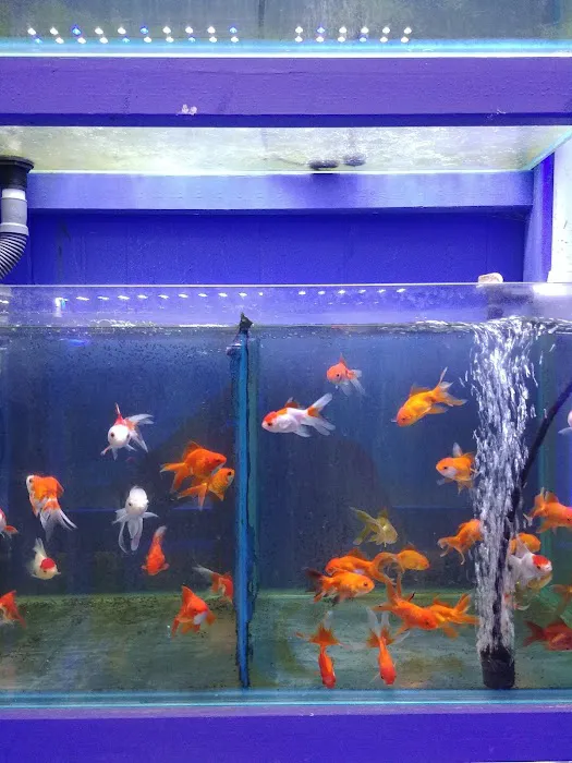 Quincy Aquarium Picture 2