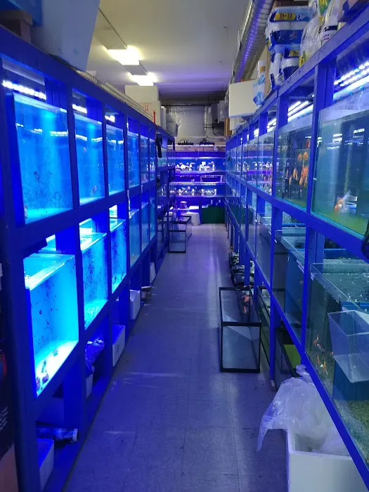 Quincy Aquarium Picture 1