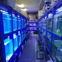 Quincy Aquarium ico