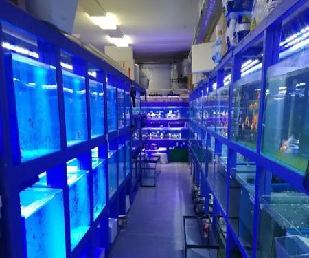 Quincy Aquarium