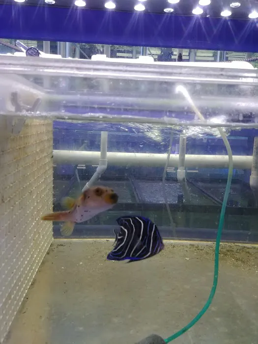 Quincy Aquarium Picture 5