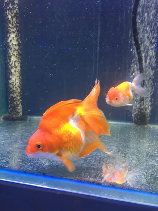 Quincy Aquarium Picture 6
