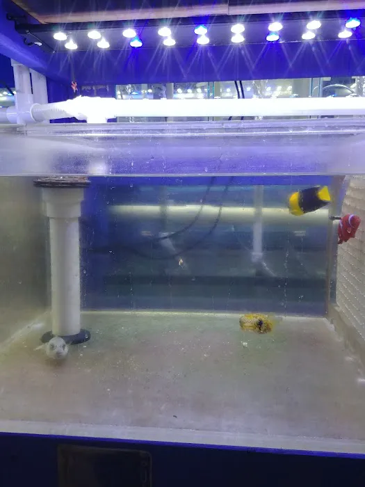 Quincy Aquarium Picture 10