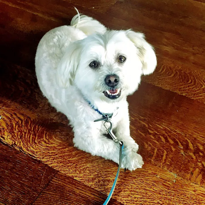 Mt Olive Veterinary Hospital Picture 1