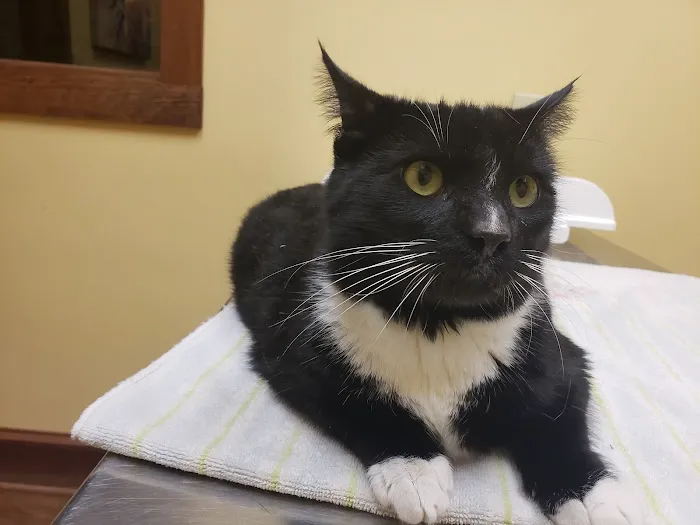 Mt Olive Veterinary Hospital Picture 2