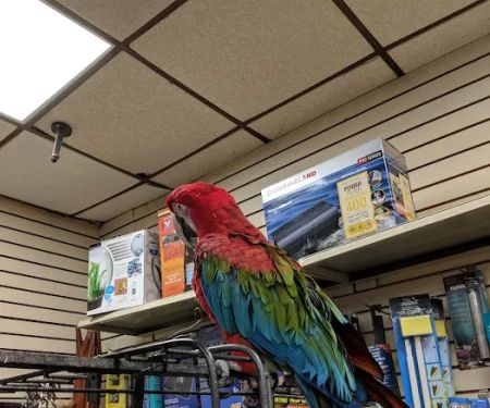 Big Fish Little Fish Pet Store