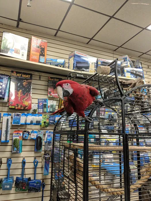 Big Fish Little Fish Pet Store Picture 6
