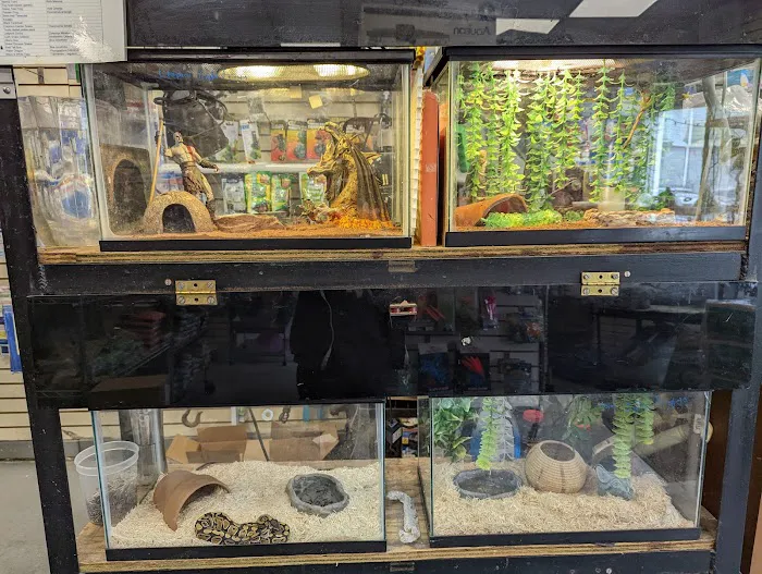 Big Fish Little Fish Pet Store Picture 8