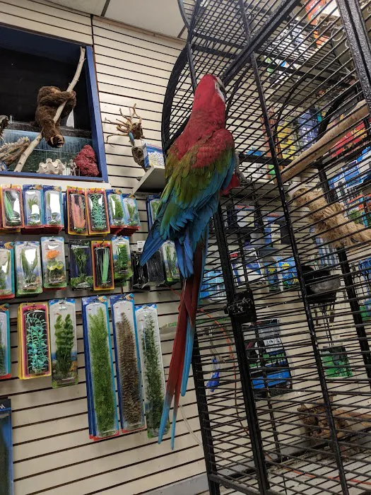 Big Fish Little Fish Pet Store Picture 9