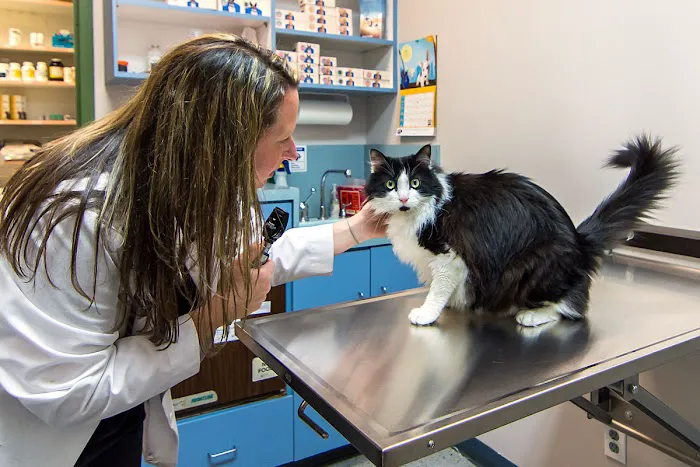 The Animal Hospital of Roxbury Picture 9
