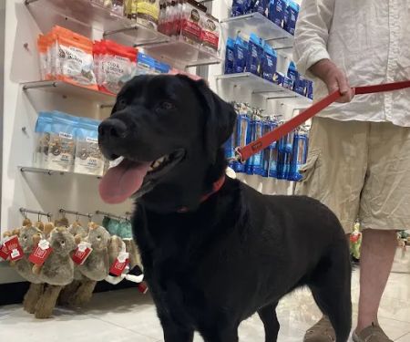 Boston Barkery