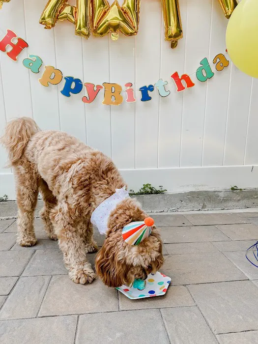 Dog Eat Cake Pet Bakery| E-Commerce Picture 6