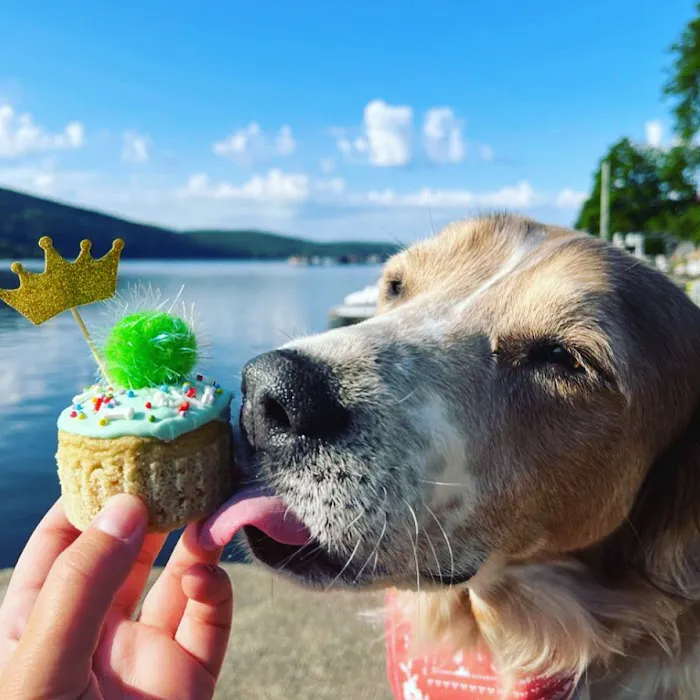 Dog Eat Cake Pet Bakery| E-Commerce Picture 5