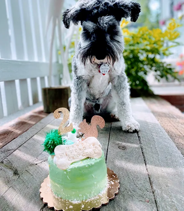 Dog Eat Cake Pet Bakery| E-Commerce Picture 9