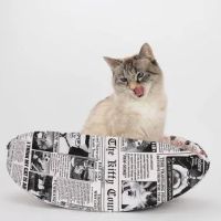Stinky's Kittens & Doggies Too ico