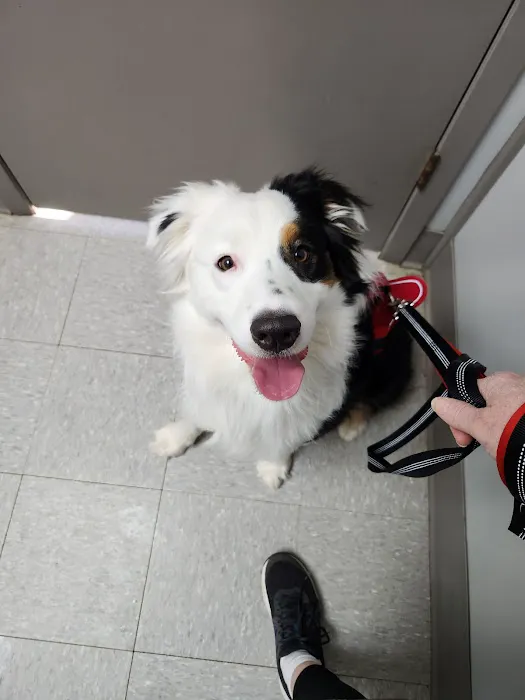 Byram Animal Hospital Picture 6