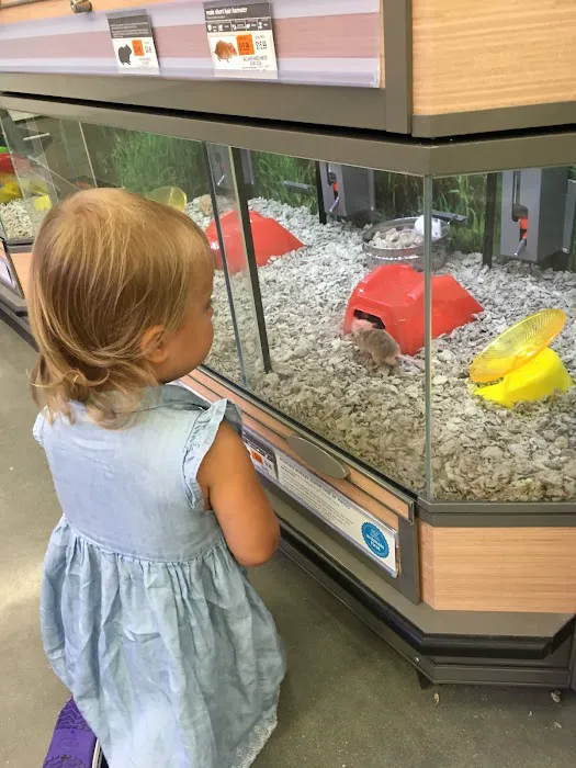 Petco Picture 2