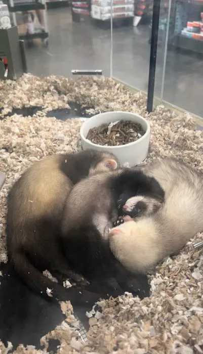 Petco Picture 8