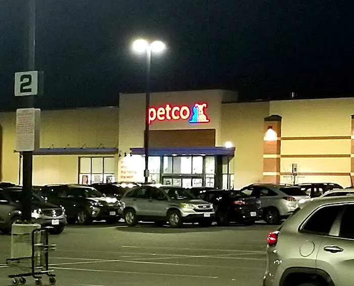 Petco Picture 9