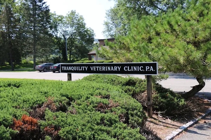 Tranquility Veterinary Clinic Picture 1