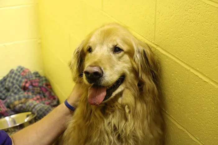 Tranquility Veterinary Clinic Picture 6
