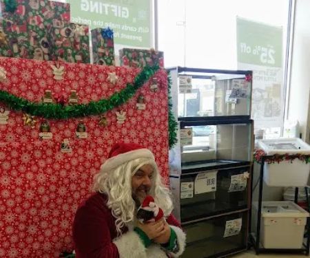 Pet Supplies Plus Medford