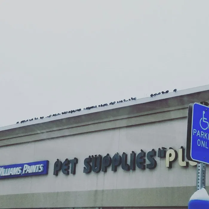 Pet Supplies Plus Medford Picture 8