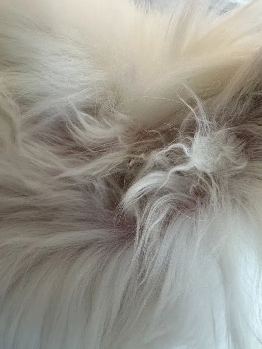 The Dirty Doodle Picture 4