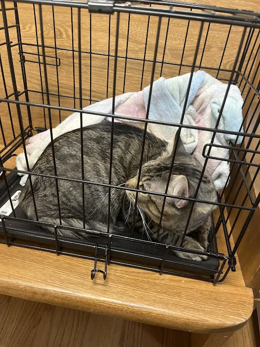 Silver Maple Veterinary Clinic Picture 5