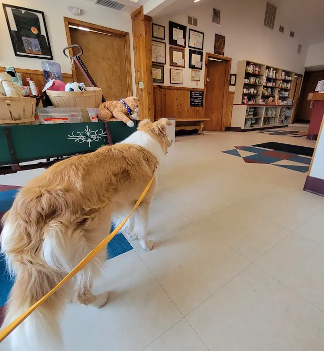 Silver Maple Veterinary Clinic Picture 6