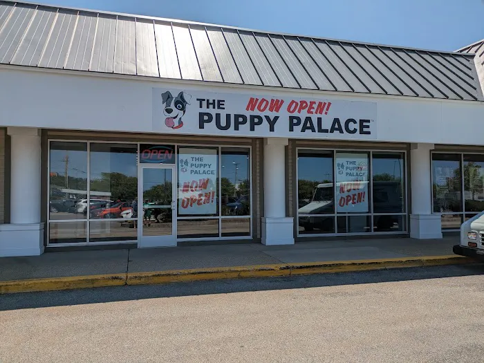 The Puppy Palace Picture 1