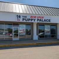The Puppy Palace ico