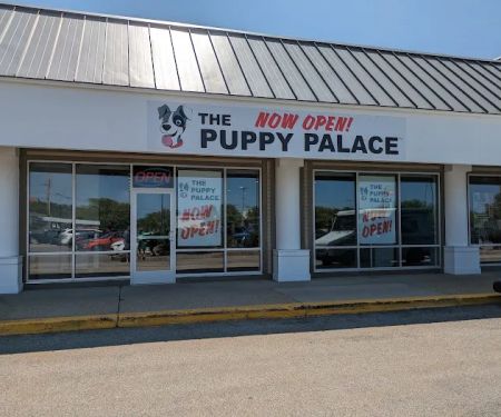 The Puppy Palace