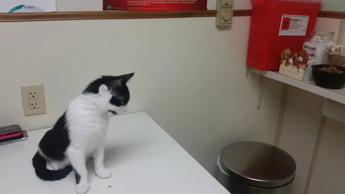Mahoning Valley Animal Hospital Picture 7