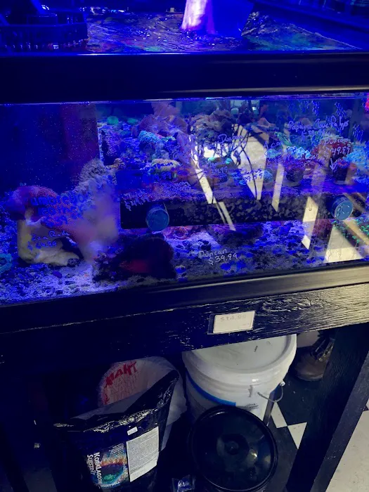 Fish Mike Aquatics Picture 4