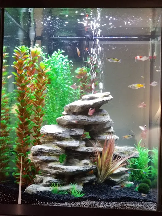 Fish Mike Aquatics Picture 5