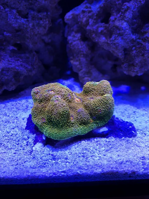 Fish Mike Aquatics Picture 7