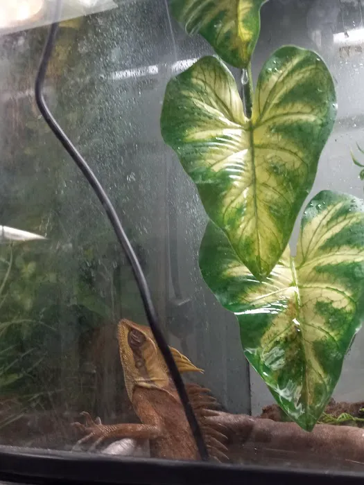 Fish Mike Aquatics Picture 6