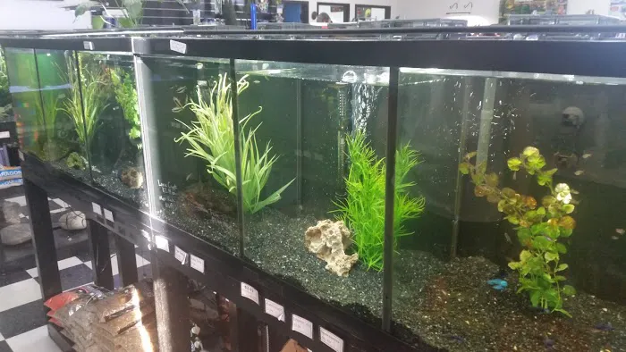 Fish Mike Aquatics Picture 10