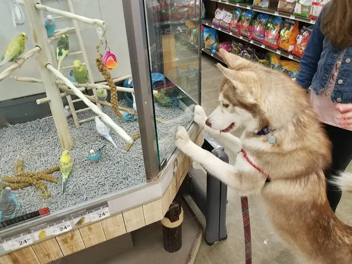 Petco Picture 2